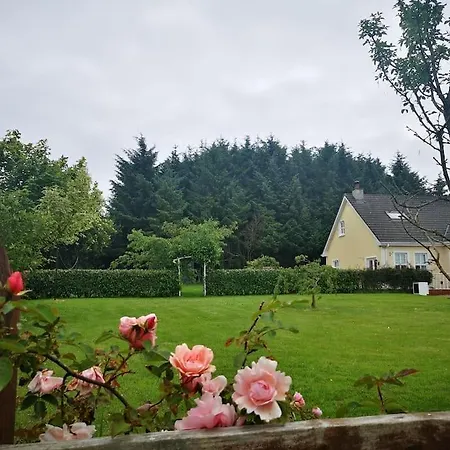 펜션 Country In Coolkenno, Near Tullow & Shillelagh Wicklow Coolkenno
