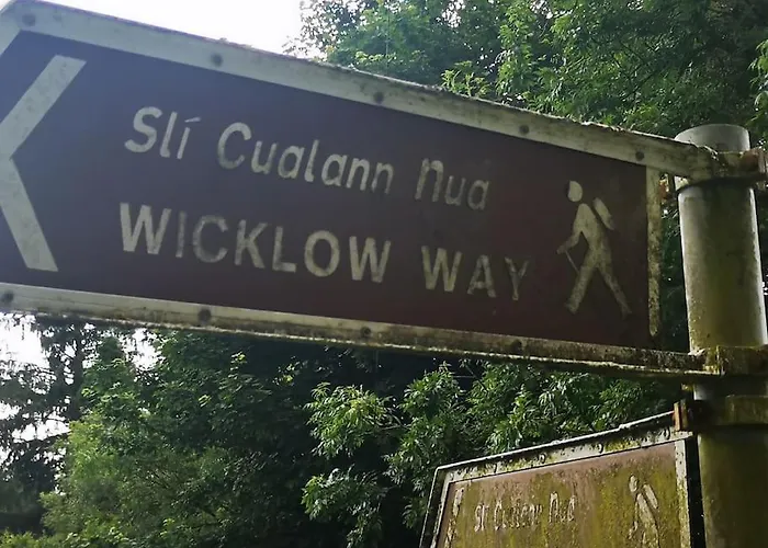 Country In Coolkenno, Near Tullow & Shillelagh Wicklow Сasa de vacaciones *